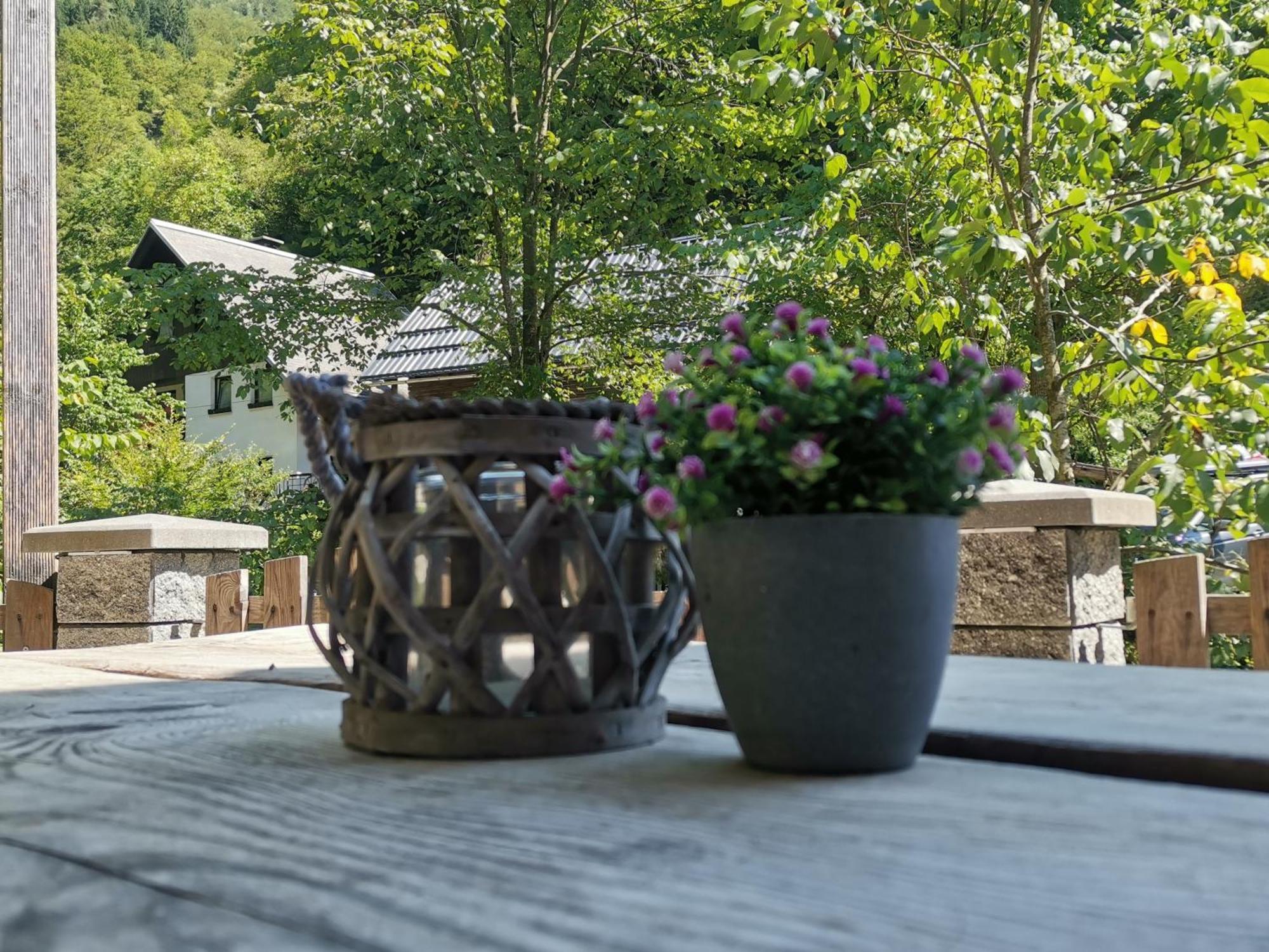 Apartma Bohinj ภายนอก รูปภาพ